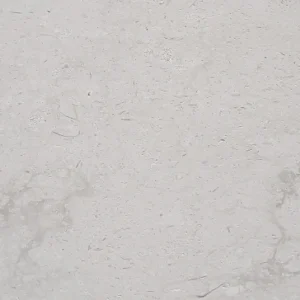 Losa de Caliza Shell Reef