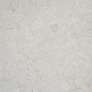 Losa de Caliza Shell Reef